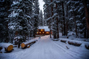 Cabin on the Edge of Forever